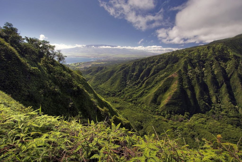 The 2.5­ mile Waihee Ridge Trail is one of the most challenging Maui hikes with 1,500 feet of elevation.