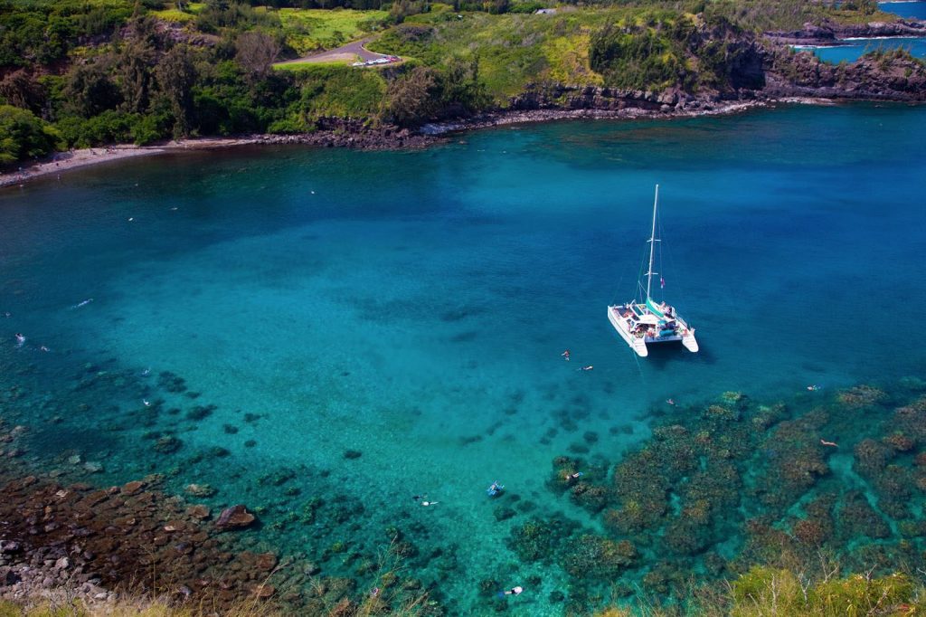 Fishing or taking of any natural resources in Honolua Bay is prohibited, which makes the Maui snorkeling location a paradise for marine life and coral reefs.  Image Source