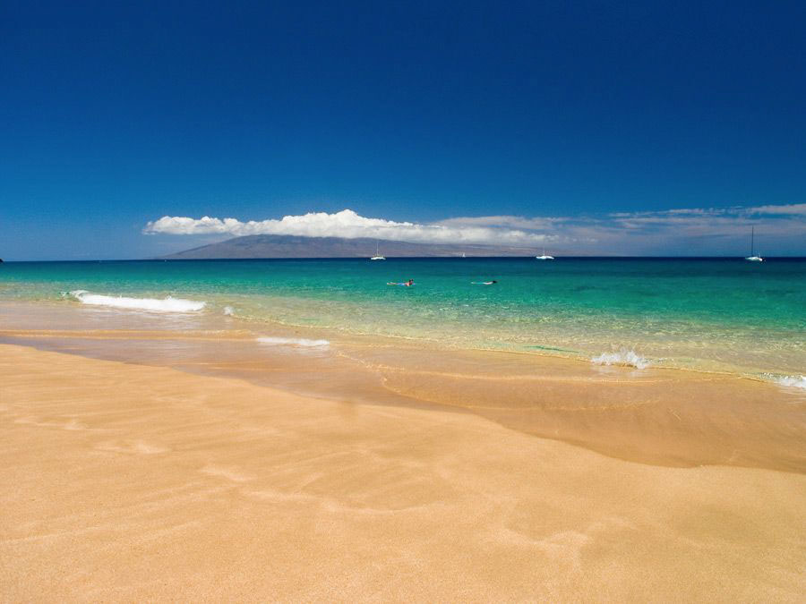 Sea life at Airport Beach includes Hawaiian Green Lionfish, Moray Eel, and Scorpionfish.  Image Source