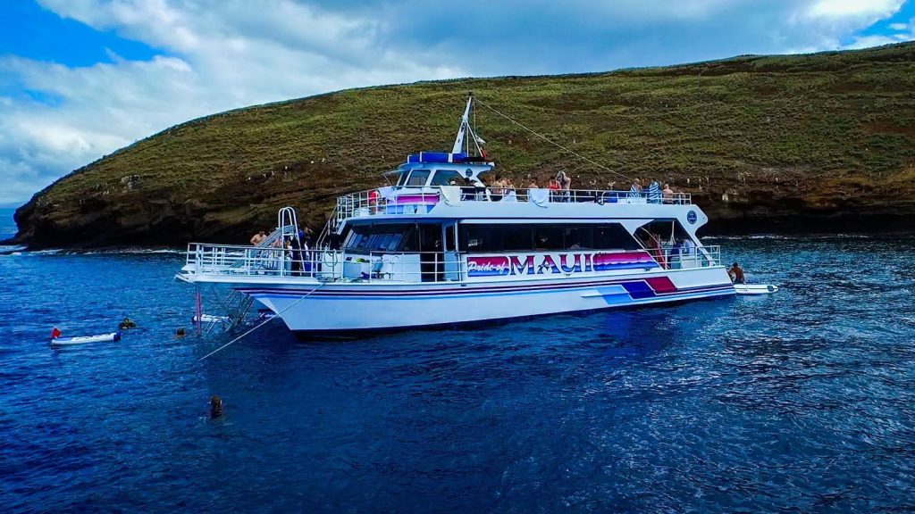  The Pride of Maui tour combines a two­ hour whale watching expedition and snorkeling among beautiful coral gardens.  Image Source