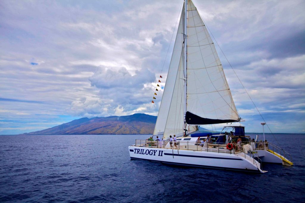 Maui’s Trilogy offers whale watching tours from Lahaina, Kaanapali, and Maalaea.  Image Source