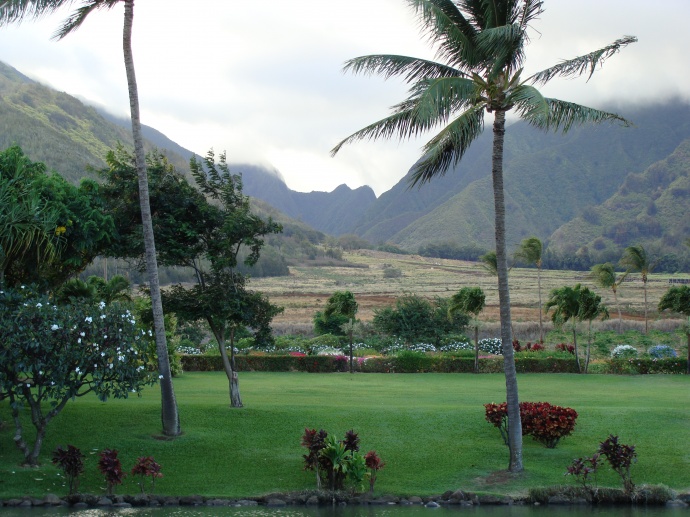 Waikapu landscape from the Maui Tropical Plantation