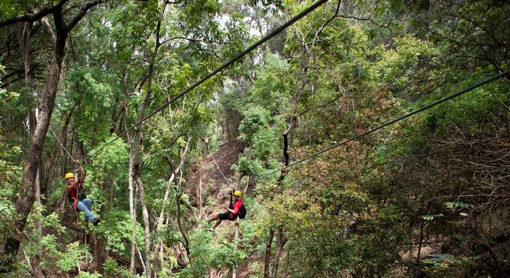The Piiholo Ranch Zipline company is situated on a cattle ranch at an elevation of 2,000 feet.  Image Source