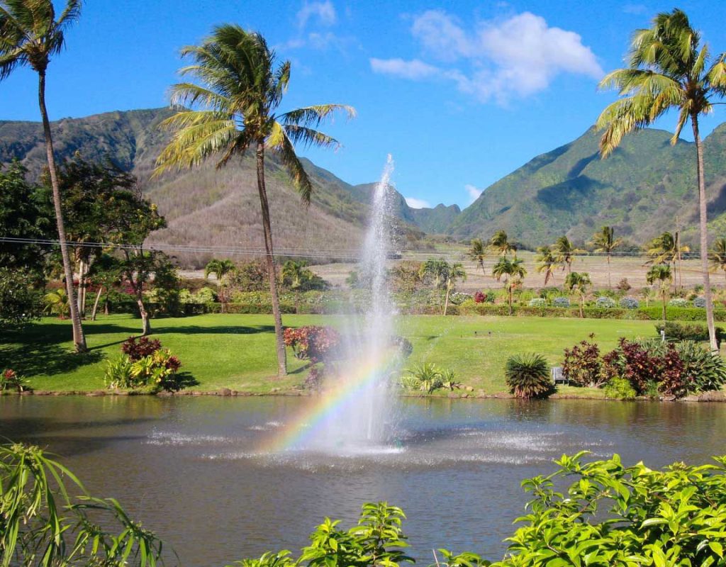 Maui Zipline offers one of Maui’s most family­-friendly zipline tours.  Image Source